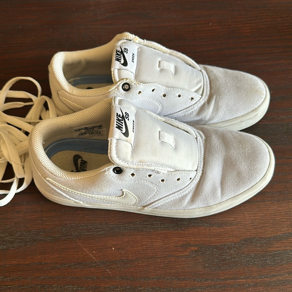 Nike SB Canvas Shoe